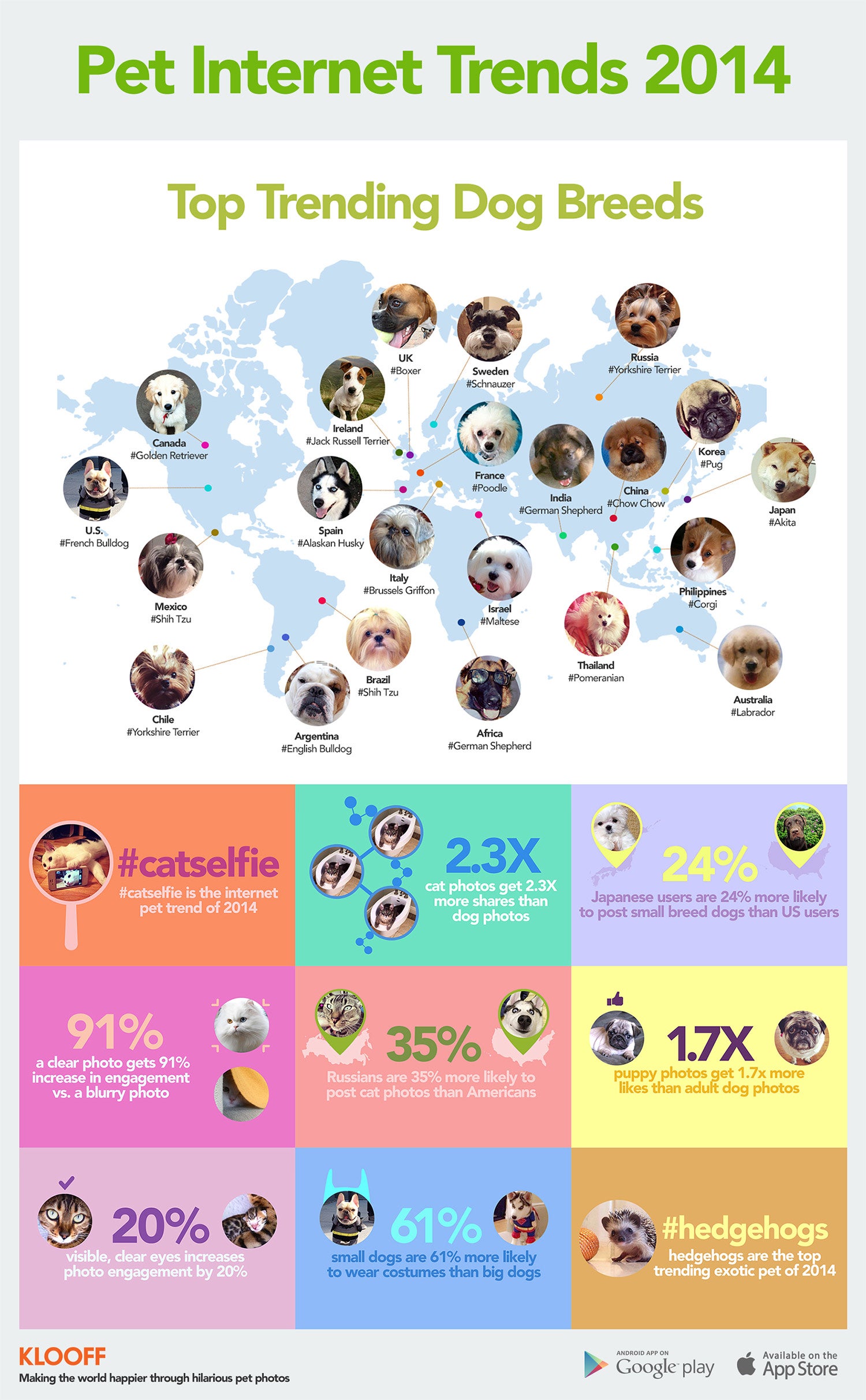 pet internet trends 2014 infographic (Infographic)